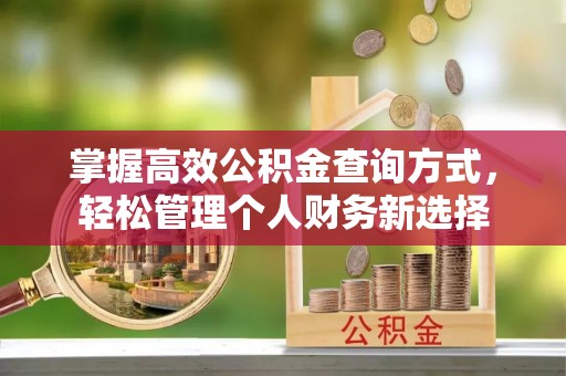 固安掌握高效公积金查询方式，轻松管理个人财务新选择
