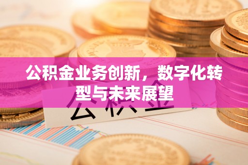 固安公积金业务创新，数字化转型与未来展望